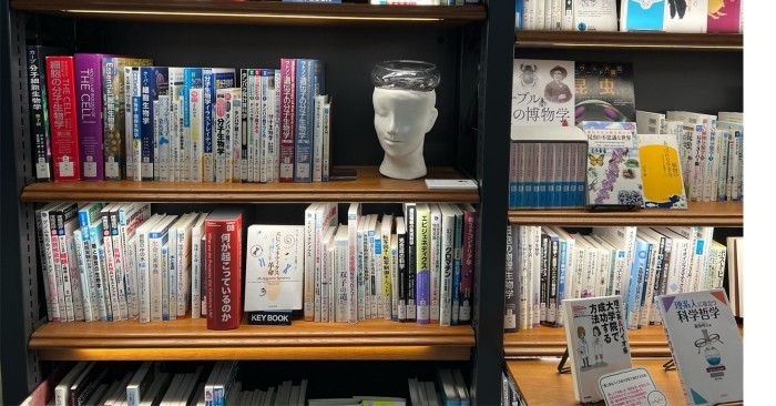 令和7年(2025年)10月に開催した「図書とアート展」の様子