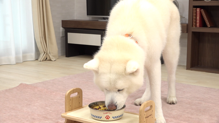 ドライフードのトッピングにも◎