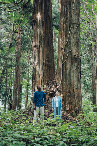 神社上の杉の前にて。