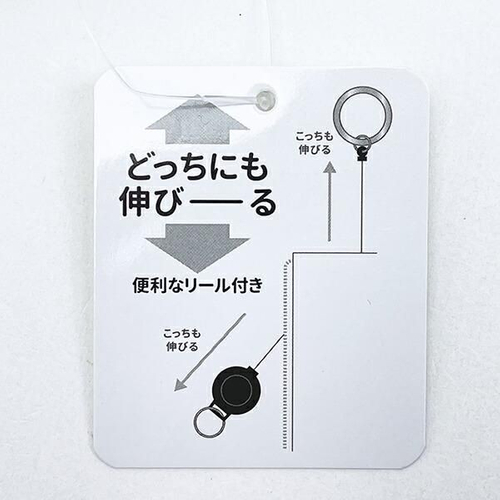 スヌーピーのパスポーチ