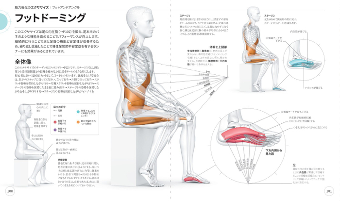 筋力強化のエクササイズ　フットドーミング