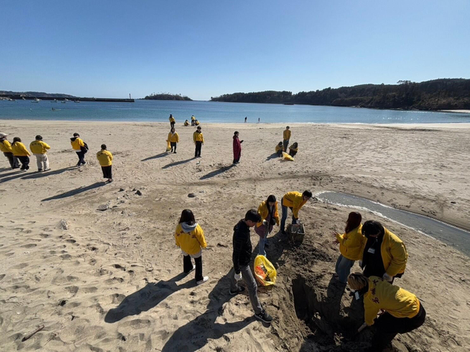 砂浜の清掃