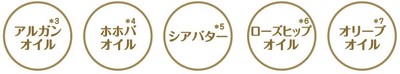 ＜乾燥を防ぐ5種の美容オイル＞（すべて保湿成分）