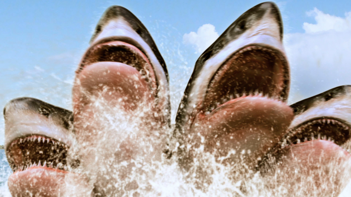 &copy;2017 BROKEN FILMS, LLC. All Rights Reserved.　