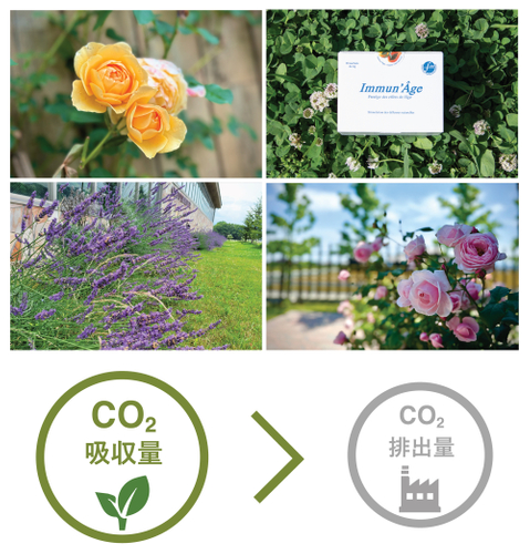 Immun&rsquo;Ageを1箱つくるごとに400gのCO2削減
