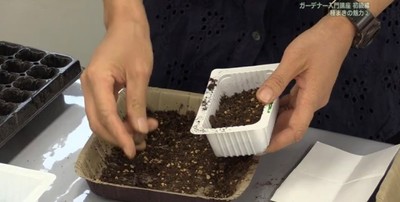 種まき準備(土入れ)