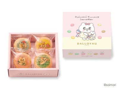 マカロンにクマを添えましょう(4個入)2
