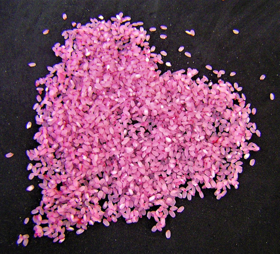 乳酸菌アイドル米「ももいろ」2