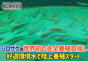 【岡山理科大学】シロザケの世界初の完全養殖目指し、好適環境水で陸上養殖スタート