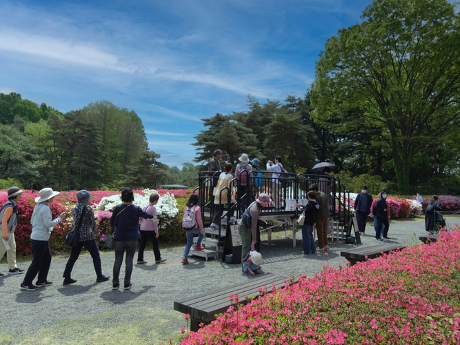「見晴らし台」の様子（令和６年撮影）