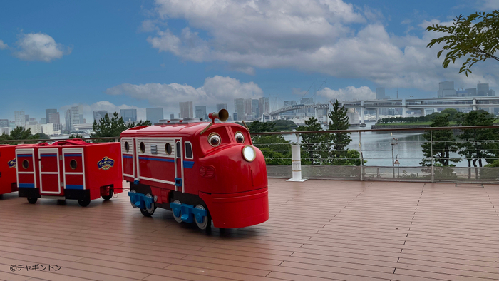 ウィルソンBIGトレイン　イメージ