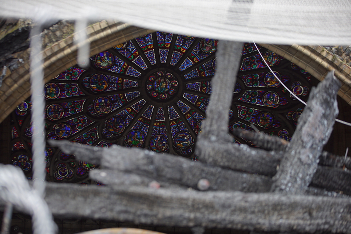 &copy;Windfall Films Limited 2020  All Rights Reserved. Licensed by ITV Studios Ltd