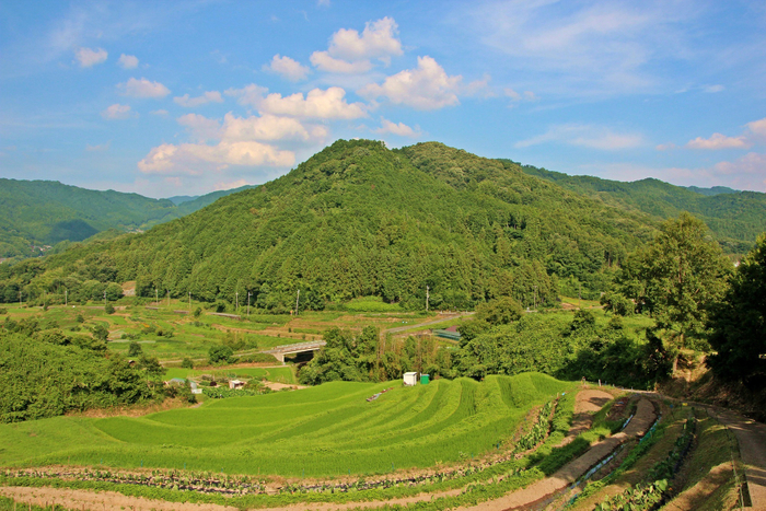 明日香村_風景[稲渕]