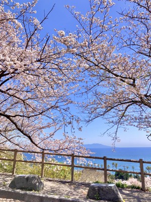 【東伊豆まちの風景部門】『ひと休み』/s_z様