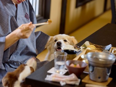 愛犬と一緒に過ごせるお食事処