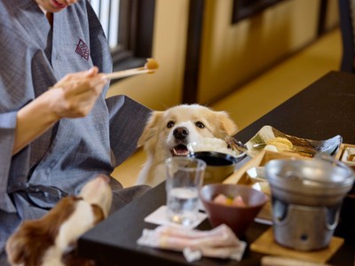 お食事処も愛犬と一緒に