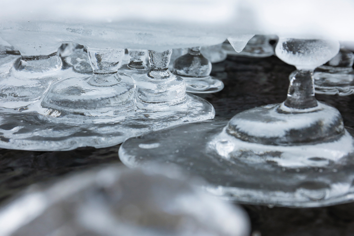 GOTO AKI写真展「terra」より