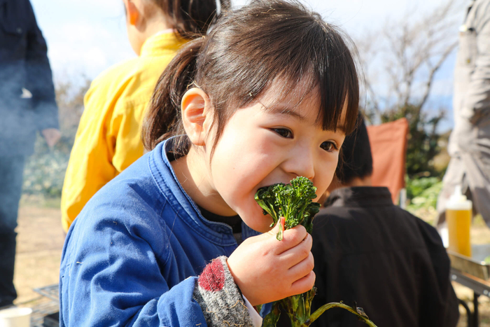 ソレイユの丘_ソレイユ秋野菜 収穫体験!_2_日比谷花壇