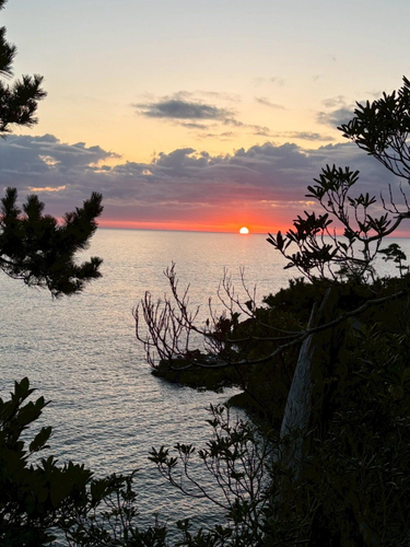 龍前崎から見えた朝日