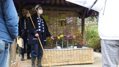 庭さんぽの様子