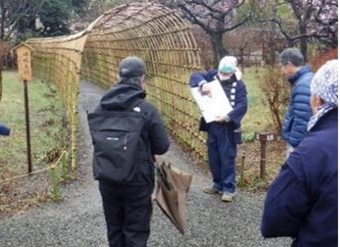 庭さんぽ（昨年度の様子）