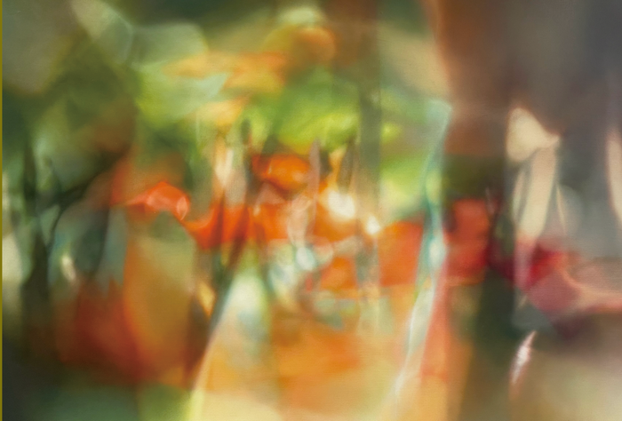 作品《白老、光の風景 - 飛生の森の夏 -》(2024年)