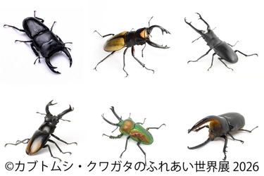 世界のレア昆虫が集結！夏休み限定イベント 「カブトムシ・クワガタのふれあい世界展」8/1(土)～東京で開催 　AR昆虫採集ゲーム「バグハン！」コラボブースも登場