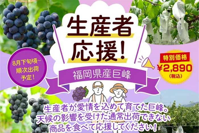 ※画像はイメージです