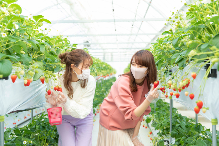 投稿例6(いちご狩りを楽しむ女性2人)