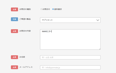 記入例