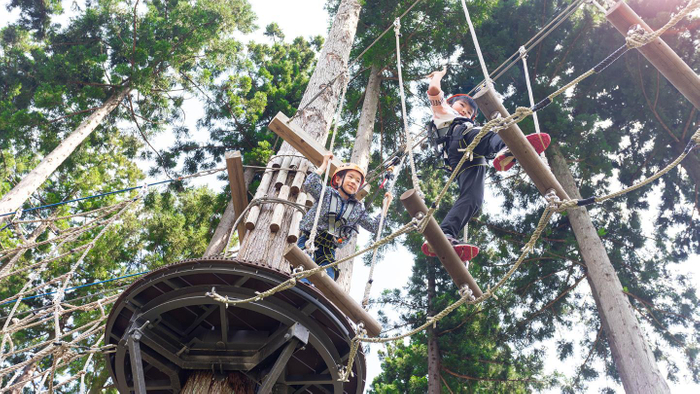 ツリーアドベンチャー
