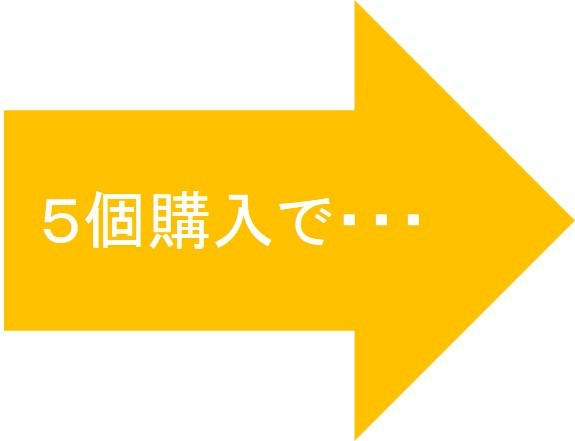 ５個購入　イメージ