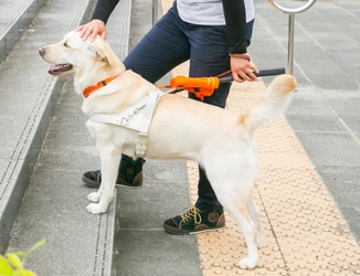 「島根あさひ盲導犬パピープロジェクト」受刑者と共に子犬を育てる 育成ボランティア委託式を開催