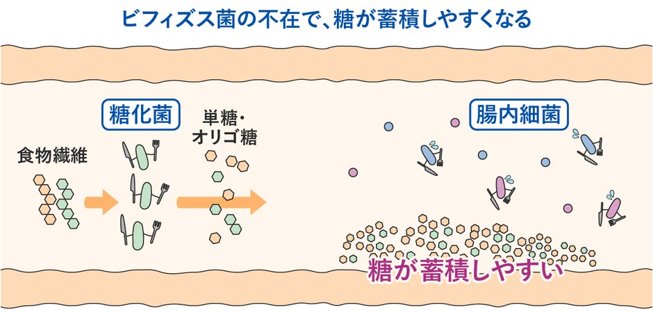 イメージ(5)