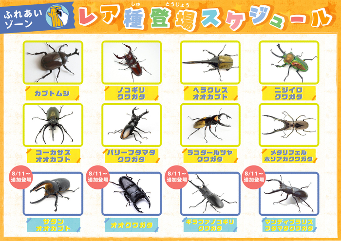 ふれあいゾーン レア種登場スケジュール