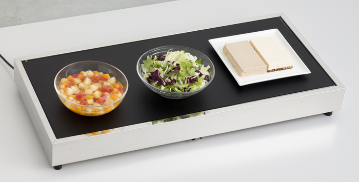 大型デュアルプレートDP-980