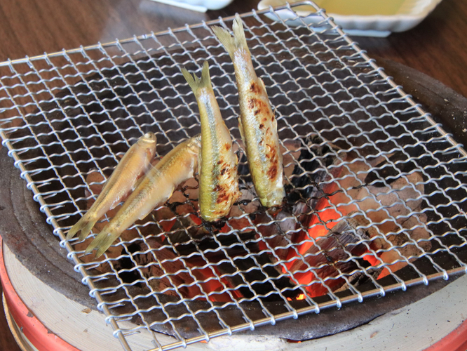 ホンモロコ