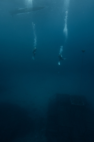 海底貯蔵に向かうダイバー