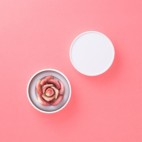 petale_2026cherie_main