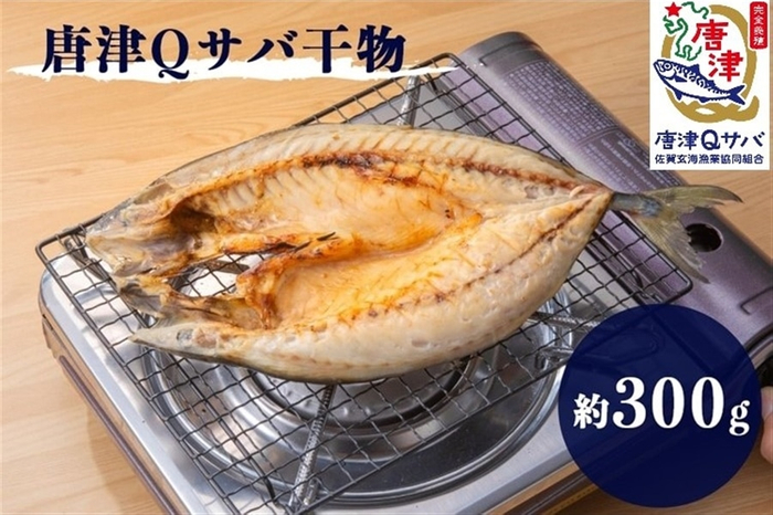 唐津Qサバ干物