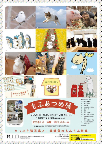 チラシ1