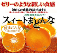 ［フルーツショップサニー］スイートマドンナ 2kg