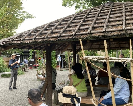 野草ウォッチング（昨年の様子）