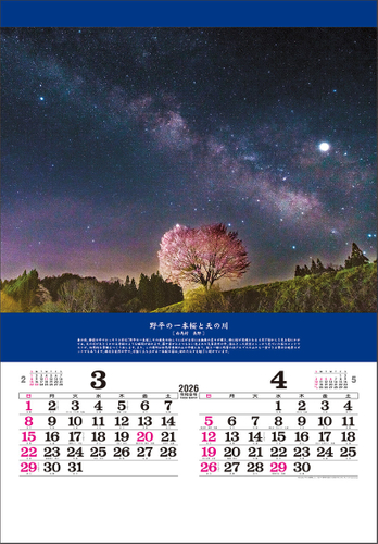 奇跡の絶景-開運を招く風景- 3-4月 野平の一本桜と天の川(長野)