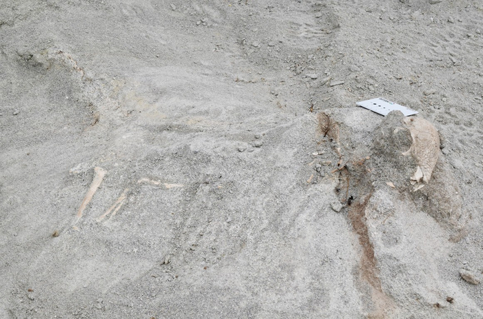 ザヴァケファレの産出現場＝研究グループ提供