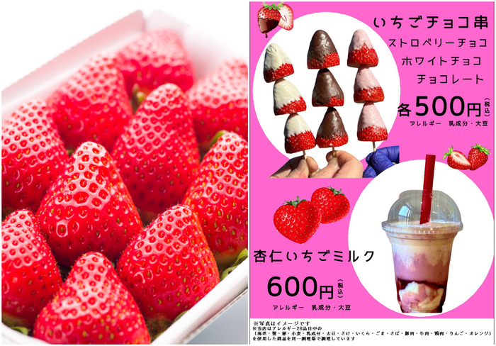 山梨・道の駅なんぶの苺フェア