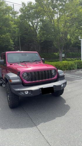 Carkusの画像マスク