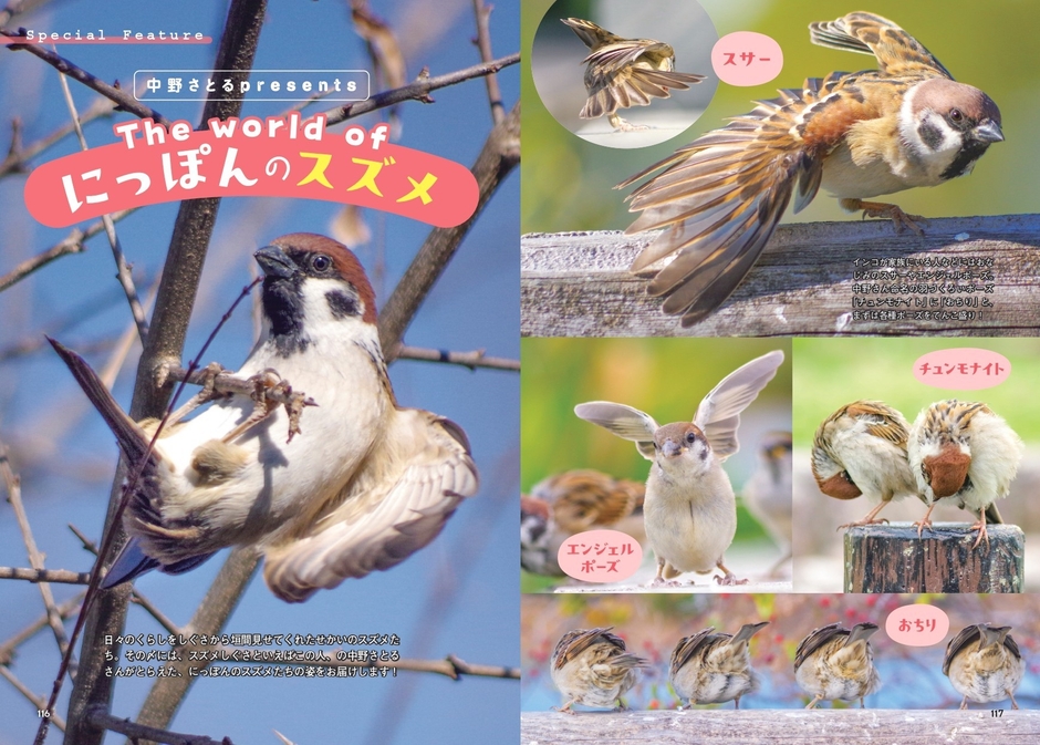 中野さとるpresents The world of にっぽんのスズメ