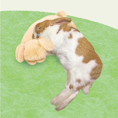 たれ耳ちゃん使用イメージ