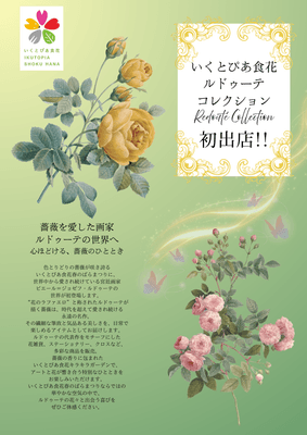 ルドゥーテ